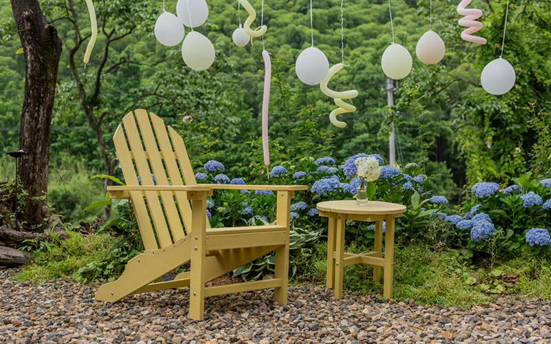 Cathaoir Adirondack